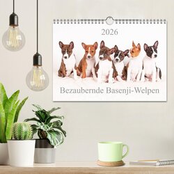 Innenansicht 2