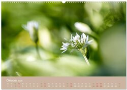 Innenansicht 11