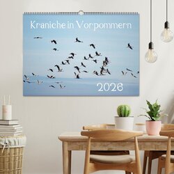 Innenansicht 2