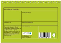 Innenansicht 1