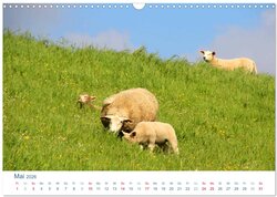 Innenansicht 7