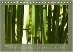 Innenansicht 4