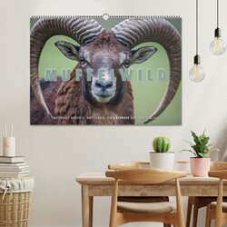 Innenansicht 2
