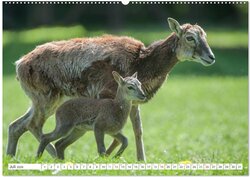Innenansicht 9