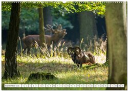 Innenansicht 11
