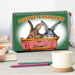 Innenansicht 2
