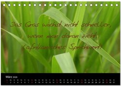 Innenansicht 5