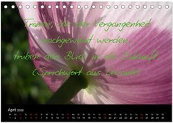 Innenansicht 6