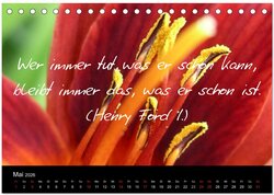 Innenansicht 7