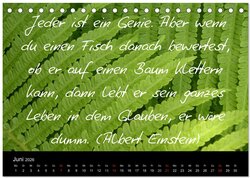 Innenansicht 8