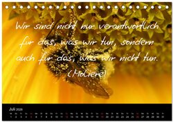 Innenansicht 9