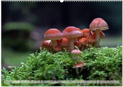 Innenansicht 5
