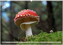 Innenansicht 6