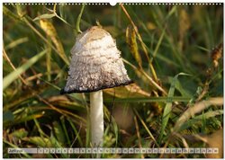 Innenansicht 7