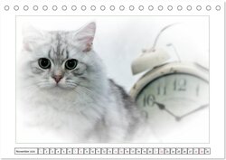 Innenansicht 13