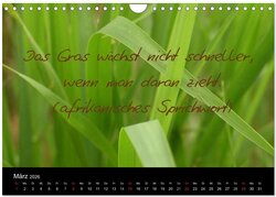 Innenansicht 5