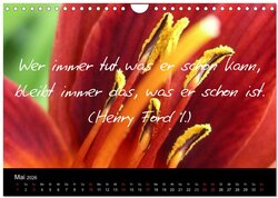 Innenansicht 7