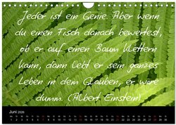Innenansicht 8