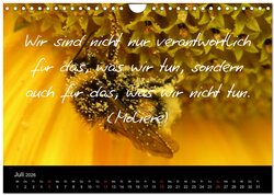 Innenansicht 9