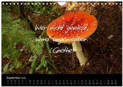 Innenansicht 11