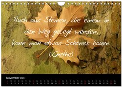 Innenansicht 13