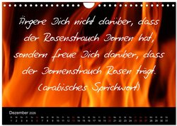 Innenansicht 14
