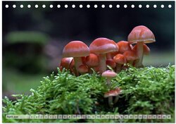 Innenansicht 6