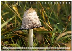 Innenansicht 8