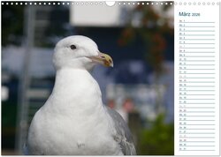 Innenansicht 5