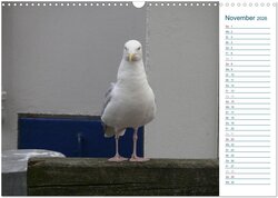 Innenansicht 13