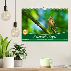 Innenansicht 2