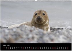 Innenansicht 6