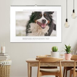 Innenansicht 2