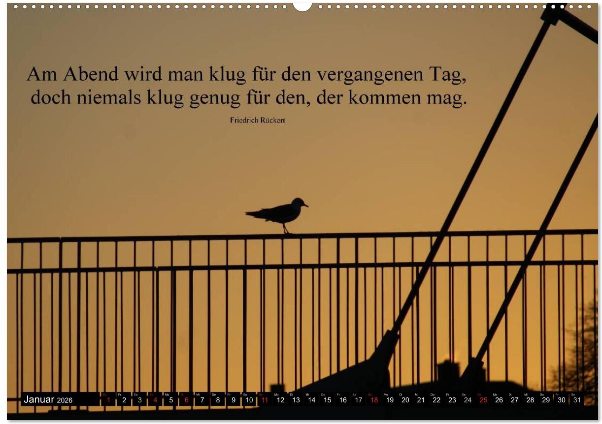 lesen