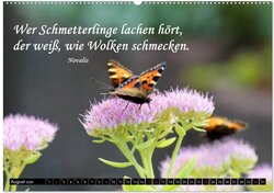 Innenansicht 9
