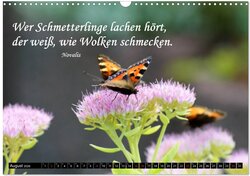 Innenansicht 10