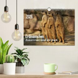 Innenansicht 2