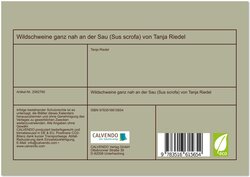 Innenansicht 1