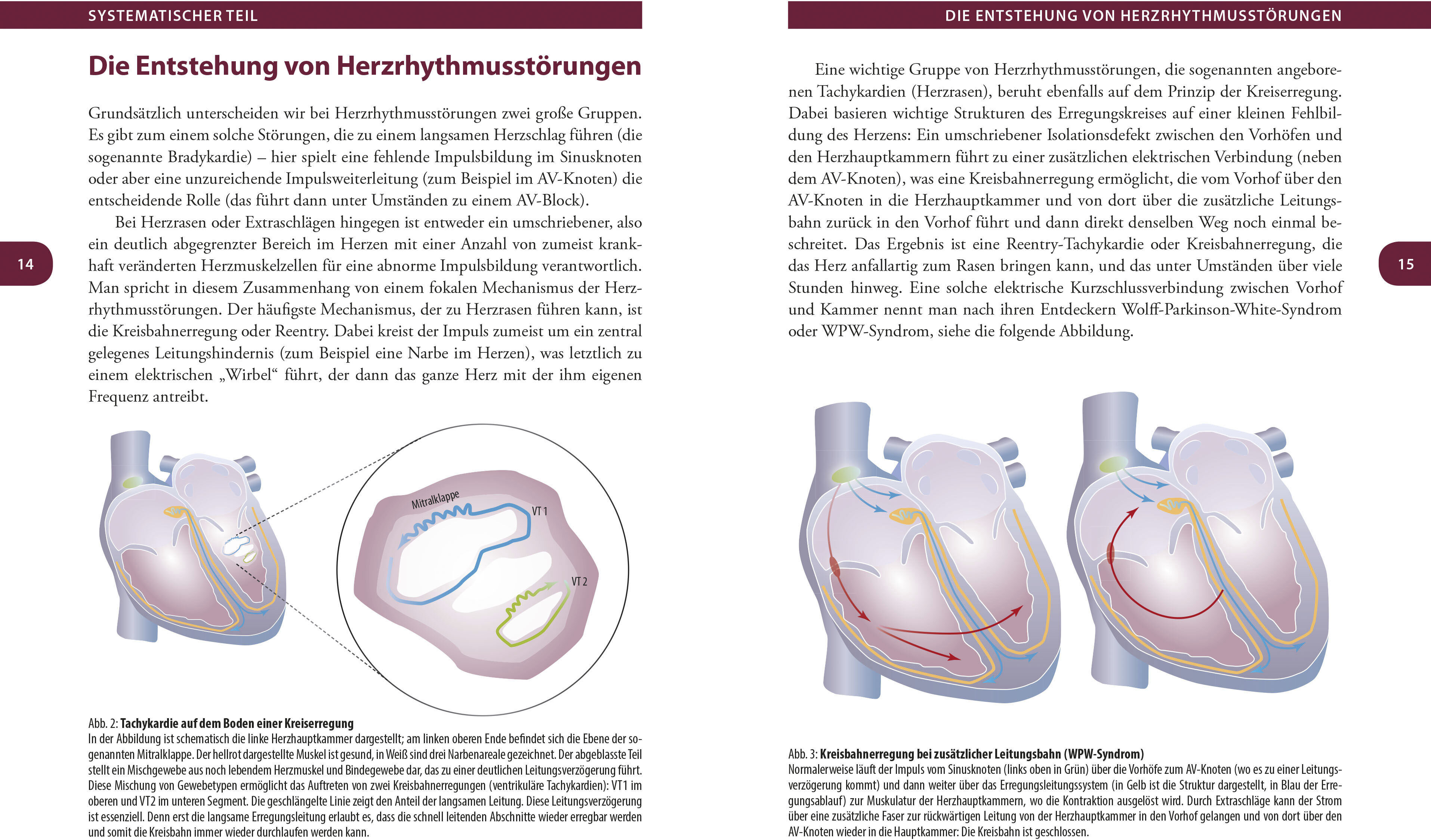 lesen