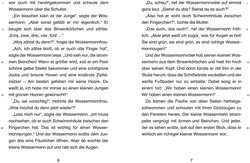 Innenansicht 3