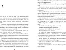 Innenansicht 3