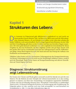 Leseprobe