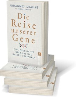 Innenansicht