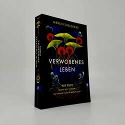 Innenansicht 1