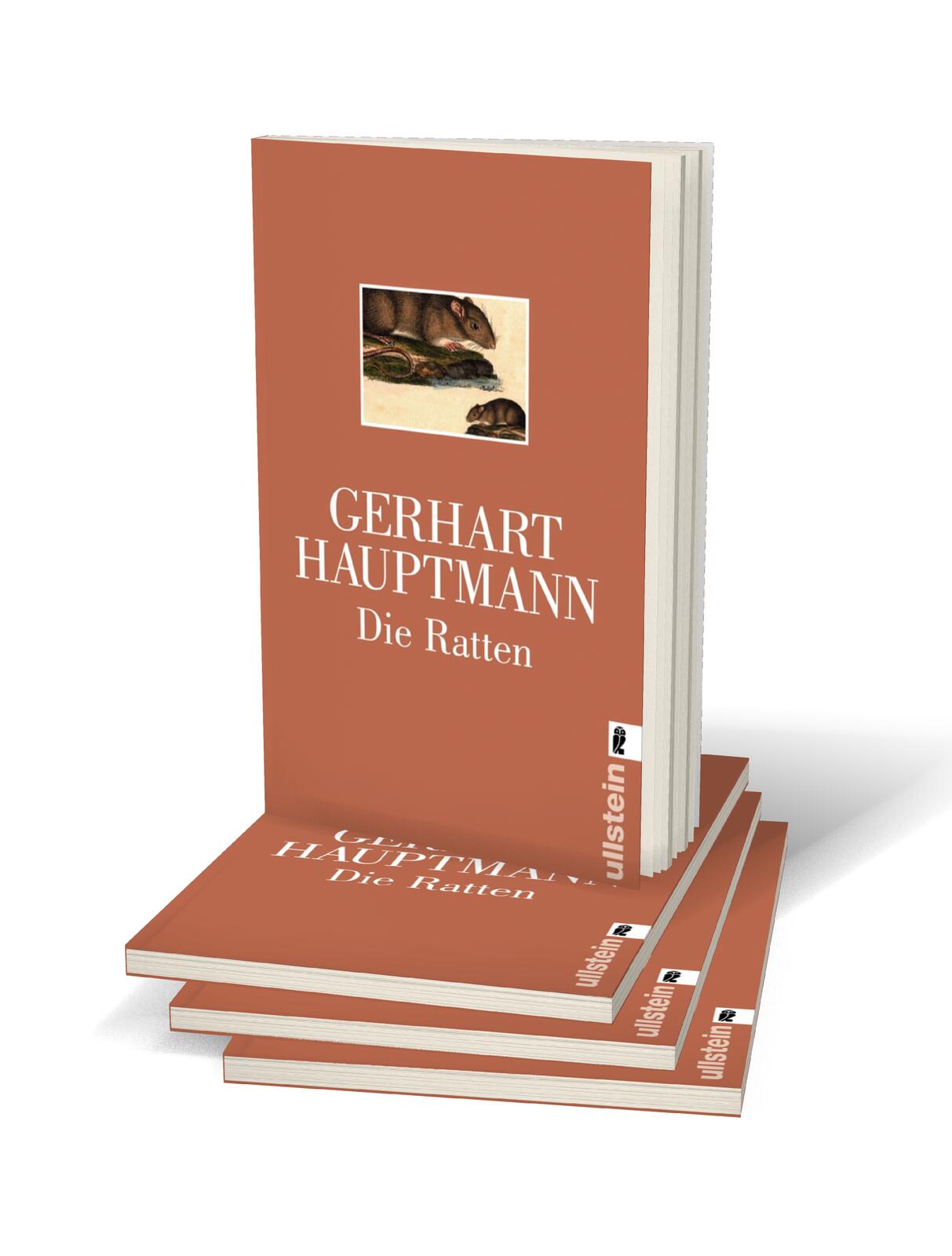 lesen