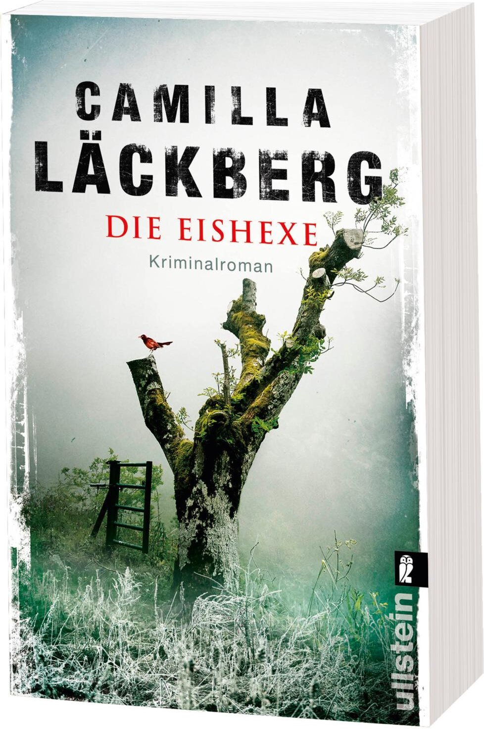 lesen