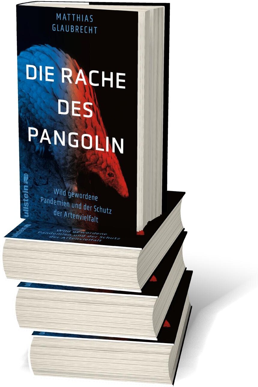 lesen