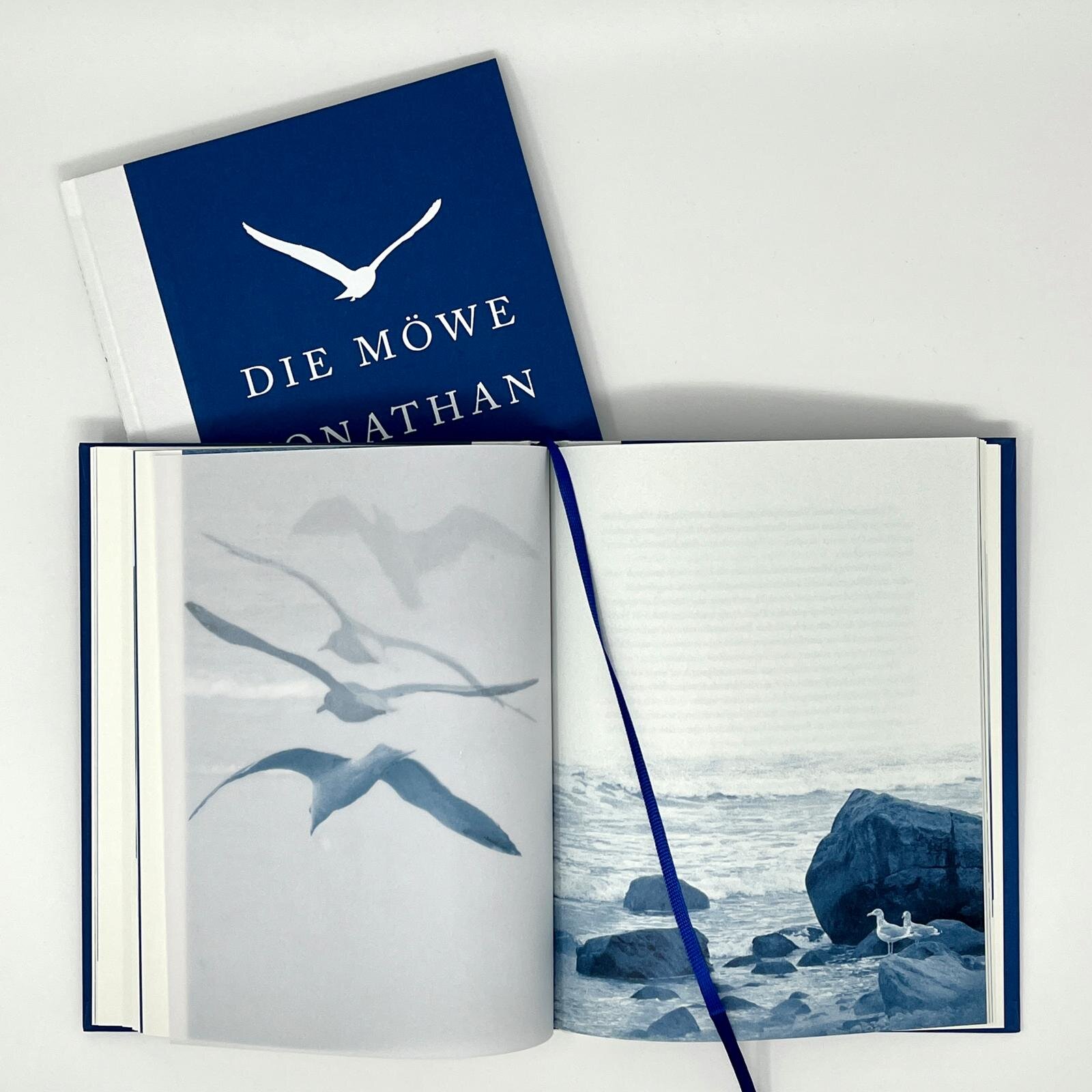 lesen