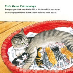 Innenansicht 3