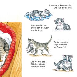 Innenansicht 4